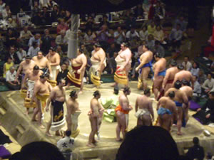 Sumo
